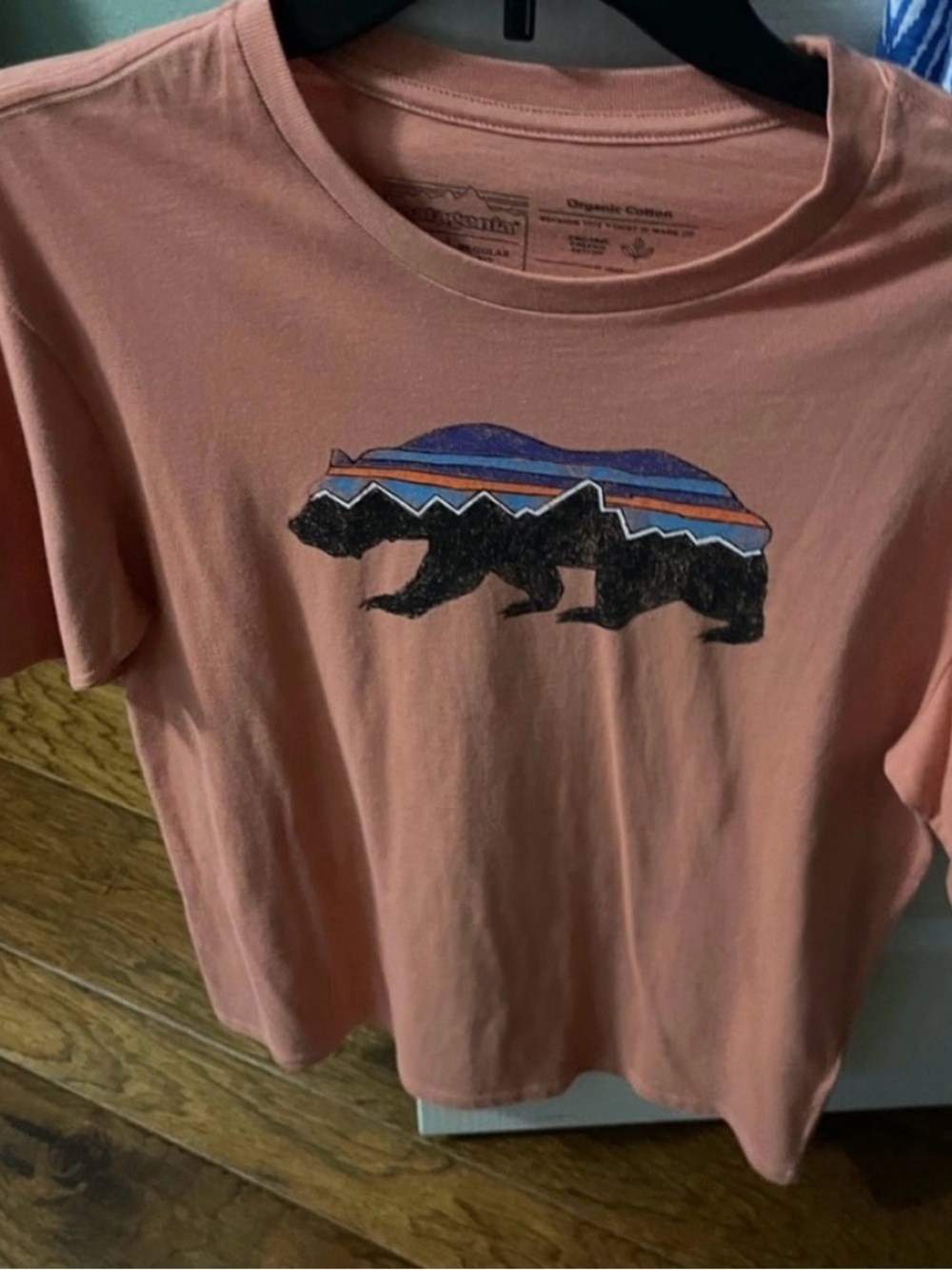 Patagonia Women's Bear Graphic Tee - Dusty Rose with Blue & Orange Accents